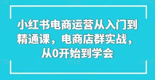 小红书电商运营从入门到精通课，电商店群实战，从0开始到学会-山河网创