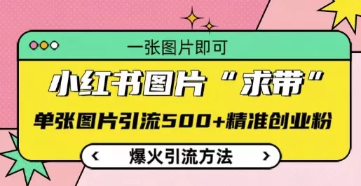 小红书图片‘求带’爆火引流法，单张图片引流500+精准创业粉【揭秘】-山河网创