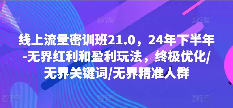 线上流量密训班21.0，24年下半年-无界红利和盈利玩法，终极优化/无界关键词/无界精准人群-山河网创