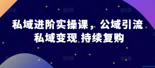 私域进阶实操课，公域引流 私域变现 持续复购-山河网创