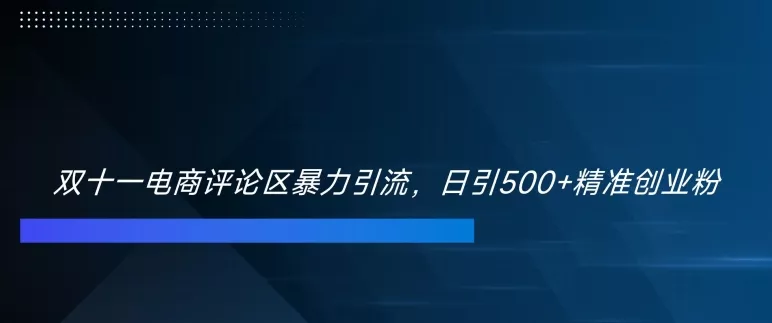 双十一电商评论区暴力引流，日引500+精准创业粉【揭秘】-山河网创