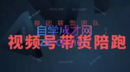 狼团联盟·2024视频号带货-山河网创