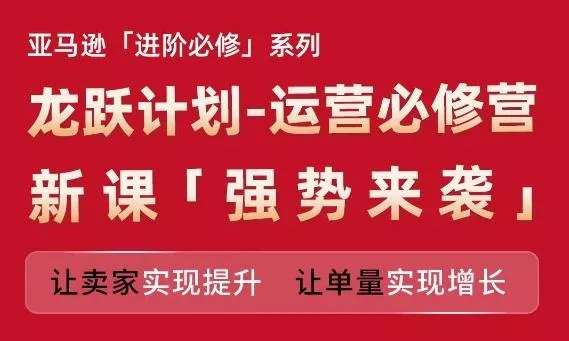 亚马逊进阶必修系列，龙跃计划-运营必修营新课，让卖家实现提升 让单量实现增长-山河网创