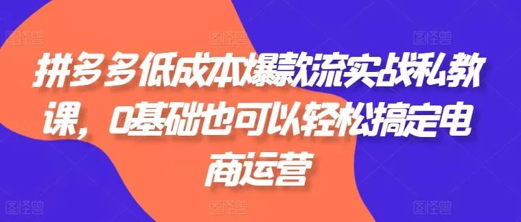 拼多多低成本爆款流实战私教课，0基础也可以轻松搞定电商运营-山河网创