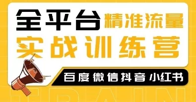 全平台精准流量实战训练营，百度微信抖音小红书SEO引流教程-山河网创