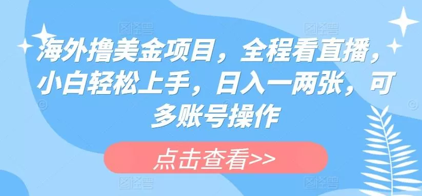 海外撸美金项目，全程看直播，小白轻松上手，日入一两张，可多账号操作【揭秘】-山河网创