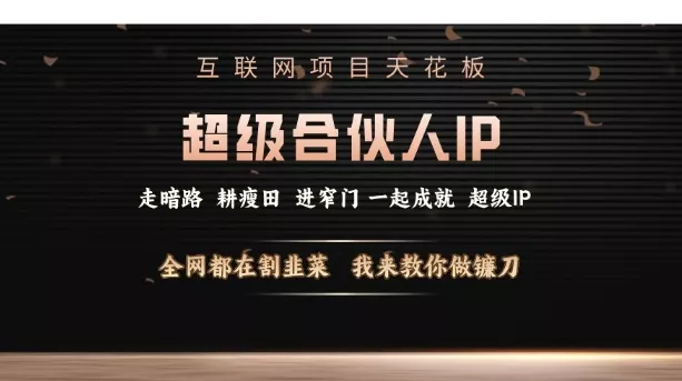 互联网项目天花板，超级合伙人IP，全网都在割韭菜，我来教你做镰刀【仅揭秘】-山河网创