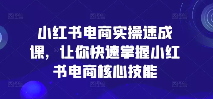 小红书电商实操速成课，让你快速掌握小红书电商核心技能-山河网创