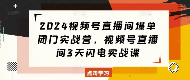 2024视频号直播间爆单闭门实战营，视频号直播间3天闪电实战课-山河网创