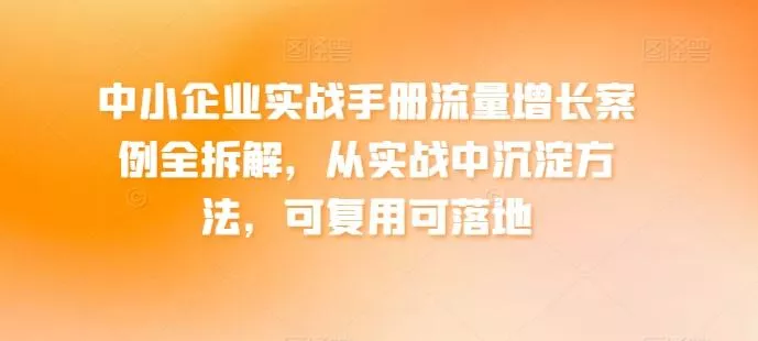 中小企业实战手册流量增长案例全拆解，从实战中沉淀方法，可复用可落地-山河网创