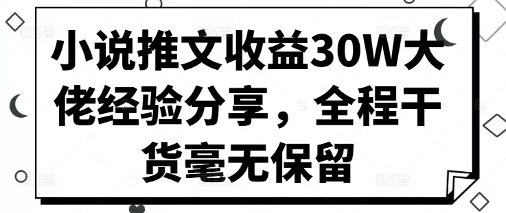 小说推文收益30W大佬经验分享，全程干货毫无保留-山河网创