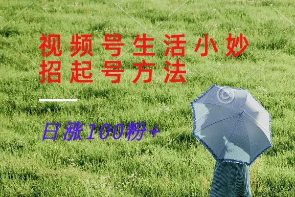 视频号生活小妙招分享赛道， 起号涨粉新方法，日涨100粉-山河网创