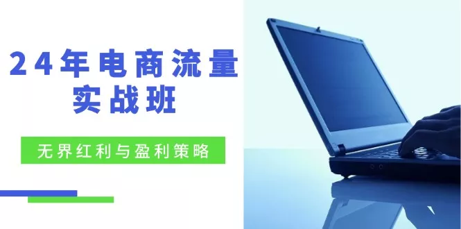 24年电商流量实战班：无界 红利与盈利策略，终极提升/关键词优化/精准…-山河网创