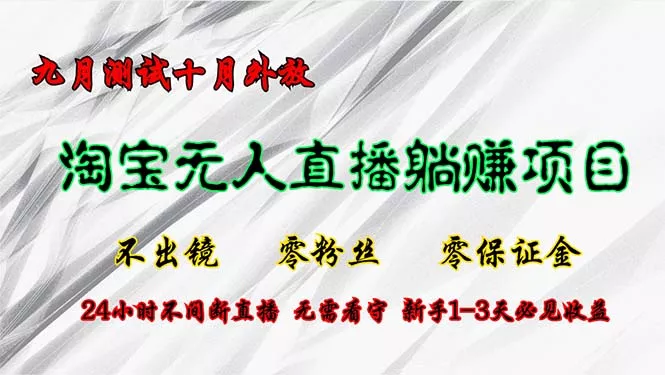 淘宝无人直播最新玩法，九月测试十月外放，不出镜零粉丝零保证金，24小…-山河网创