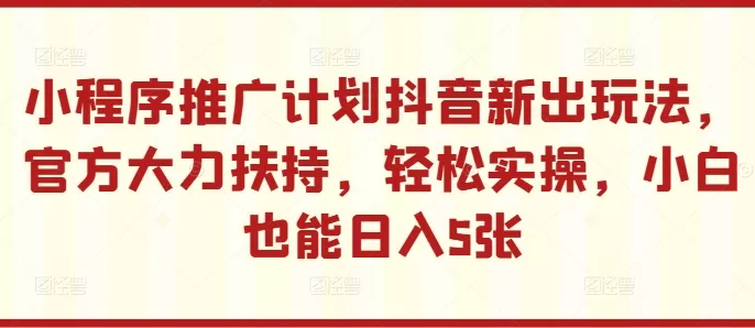 小程序推广计划抖音新出玩法，官方大力扶持，轻松实操，小白也能日入5张【揭秘】-山河网创