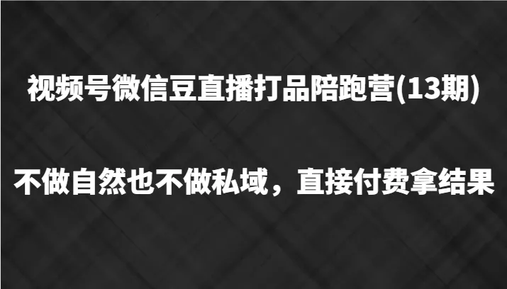 视频号微信豆直播打品陪跑(13期)，不做不自然流不做私域，直接付费拿结果-山河网创