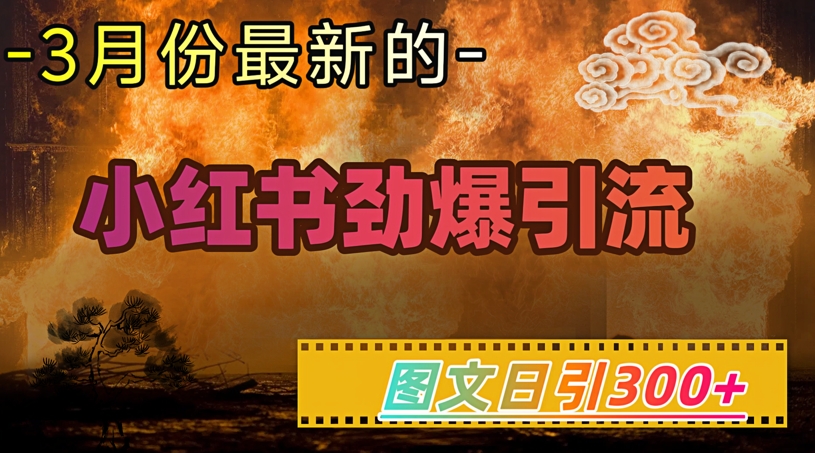 小红书超劲爆引流手段，图文日引300+轻松变现1W-山河网创