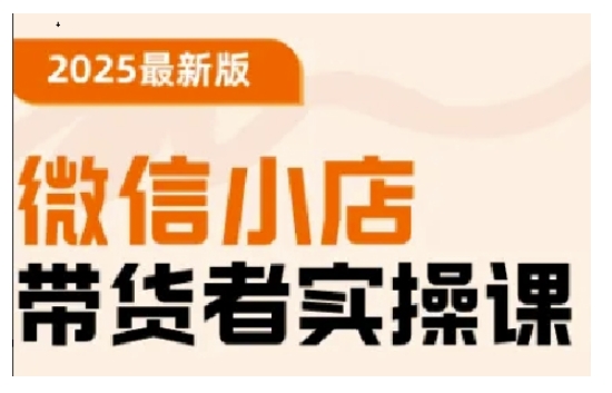 2025最新版微信小店带货者实操课，基础操作到高级运营技巧，快速上手-山河网创